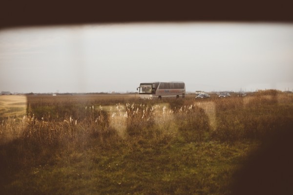 Impadurirea de la Utvin - Flavius NeamciucFlavius Neamciuc