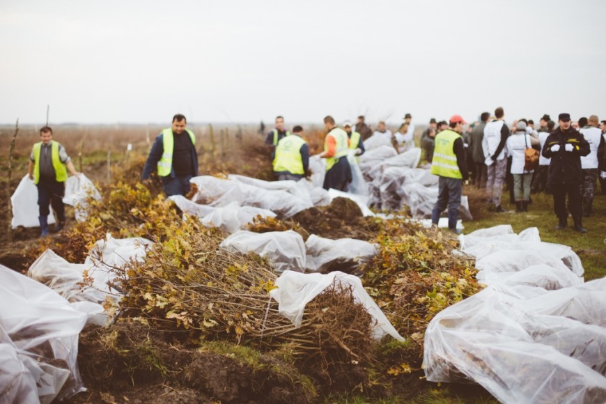 Impadurirea de la Utvin - Flavius NeamciucFlavius Neamciuc