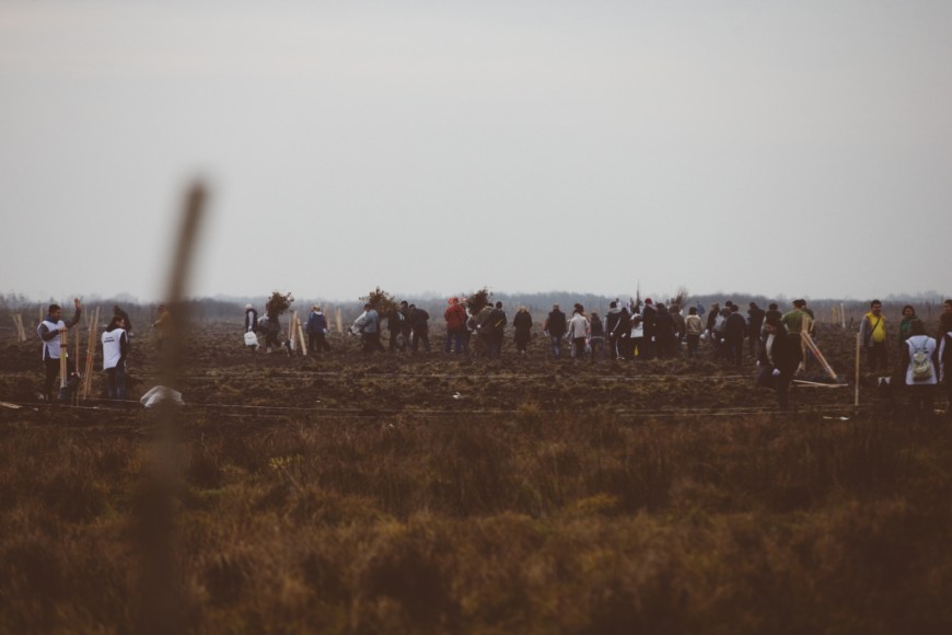 Impadurirea de la Utvin - Flavius NeamciucFlavius Neamciuc