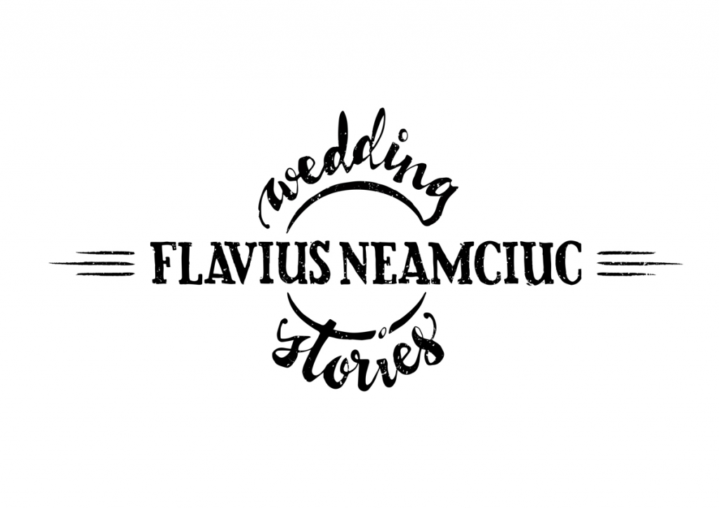 Flavius Logo Final - black on white copy